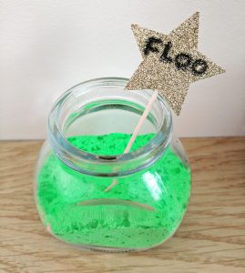 Harry Potter Party Decorations Floo Powder