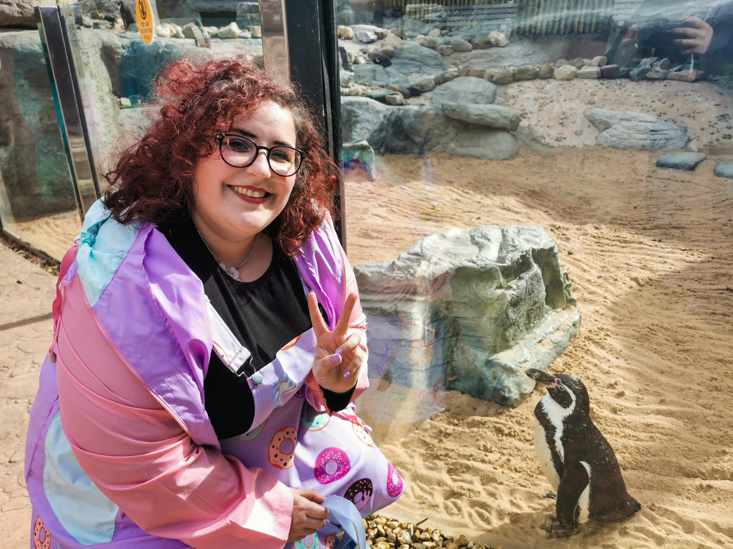 Safari Park Meeting Penguins